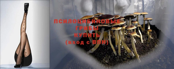 таблы Арсеньев