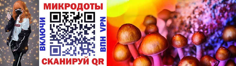 наркота  Ростов  Галлюциногенные грибы мицелий 